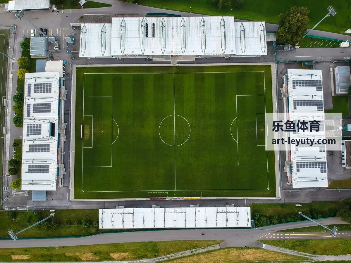 乐鱼体育力量举基础训练节目封面